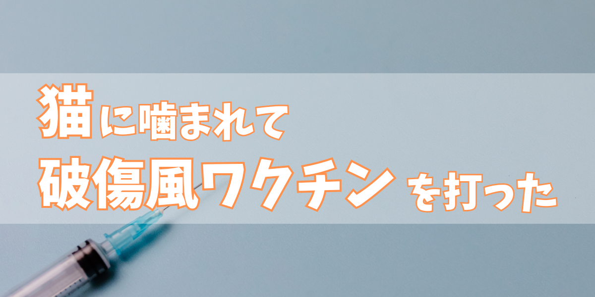 猫に噛まれて破傷風ワクチン