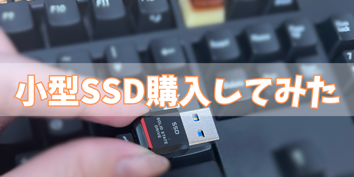 小型SSDを購入してみた