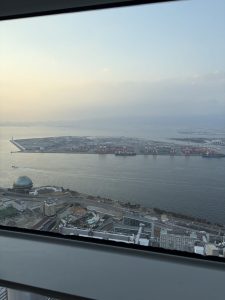 さきしまコスモタワーからの眺め