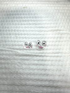 ジェルの上にフロッシュの顔を書く